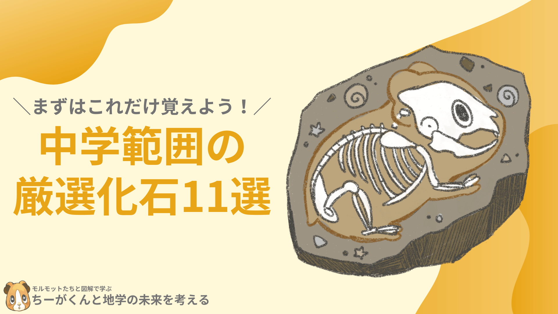 【値下げ】示準化石模型10種類