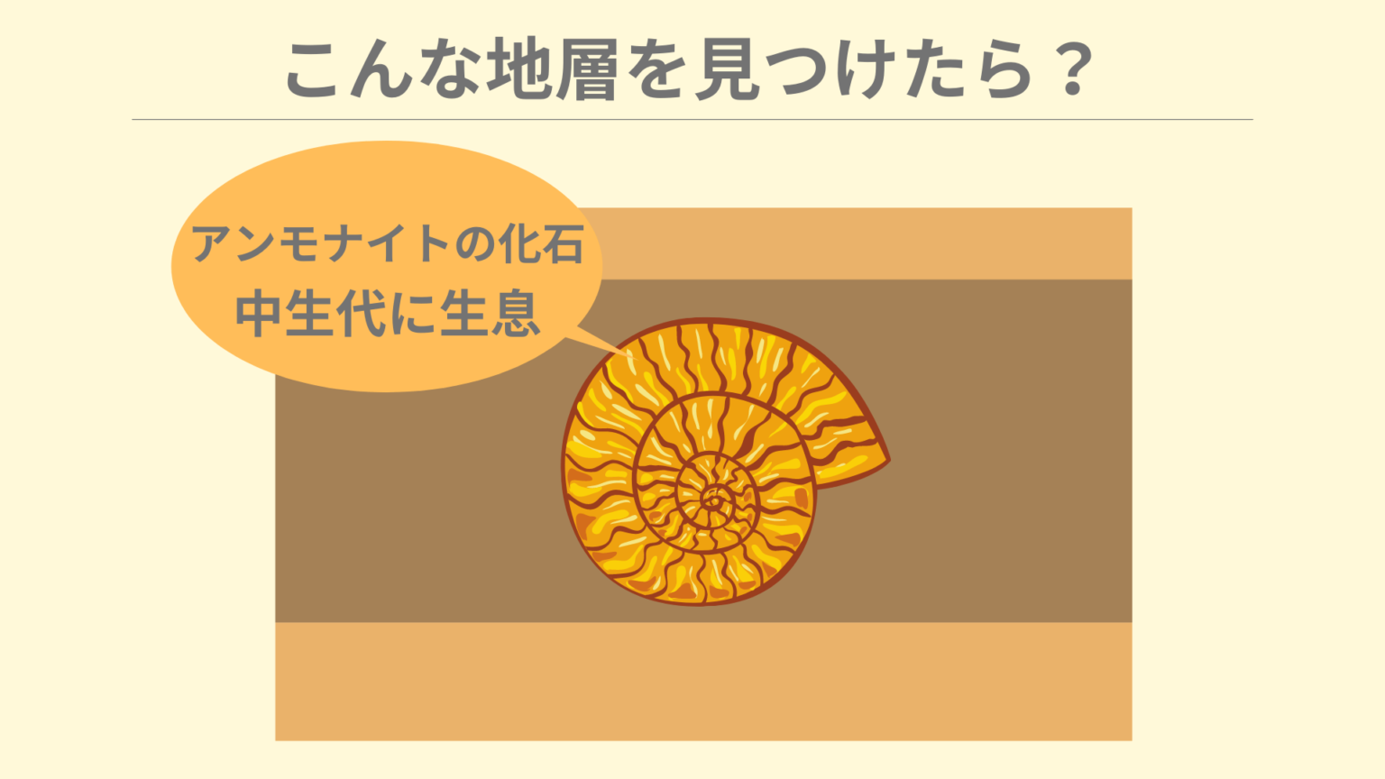 【図解で解説！】示相化石・示準化石と忘れない覚え方 ちーがくんと地学の未来を考える
