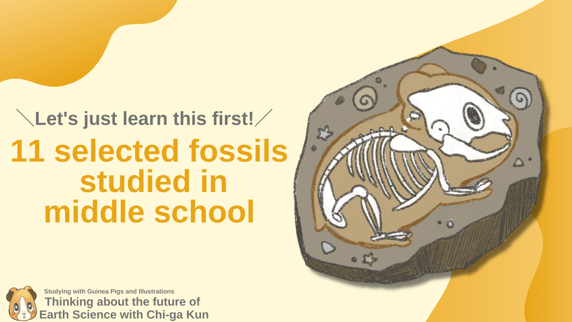 【Let’s just learn this first!】11 selected fossils studied in middle