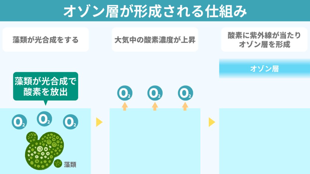 【図解で簡単に解説!】オゾン層とは?どんな役割がある?どのようにしてできた?|ちーがくんと地学の未来を考える